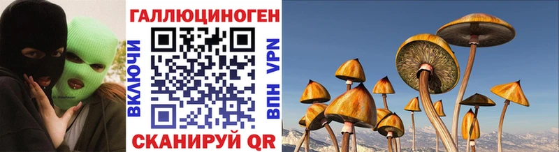 Псилоцибиновые грибы ЛСД  Анапа 